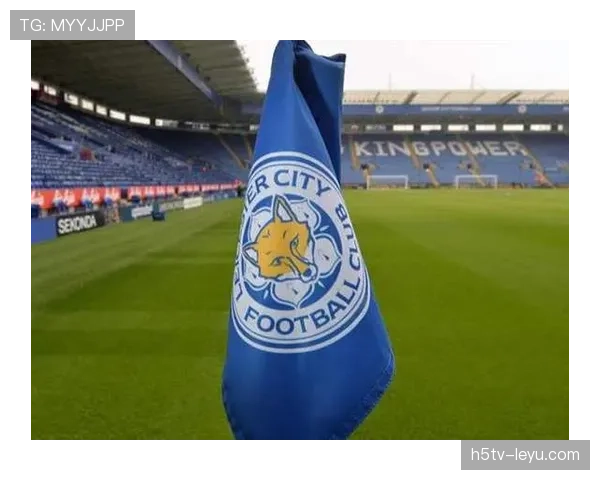 莱斯特城强势崛起,2025英超赛季剑指前四 莱斯特城强势崛起,2025英超赛季剑指前四