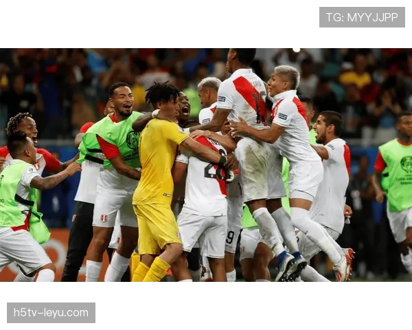 智利队攻防平衡表现稳健 智利队攻防平衡表现稳健